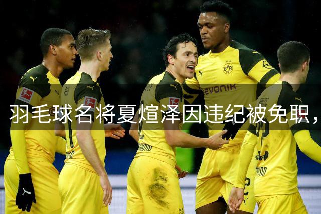 羽毛球名将夏煊泽因违纪被免职，协会新领导班子出炉